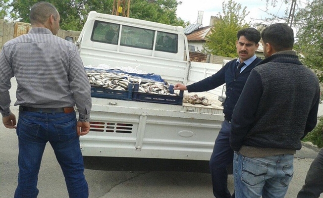 Zabıta ekiplerinden kaçak balık operasyonu