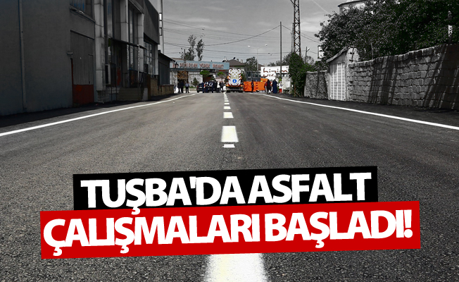 Tuşba Belediyesi'nin asfalt çalışmaları başladı