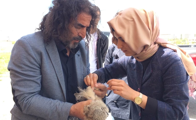Tedavileri tamamlanan kuşlar doğaya bırakıldı