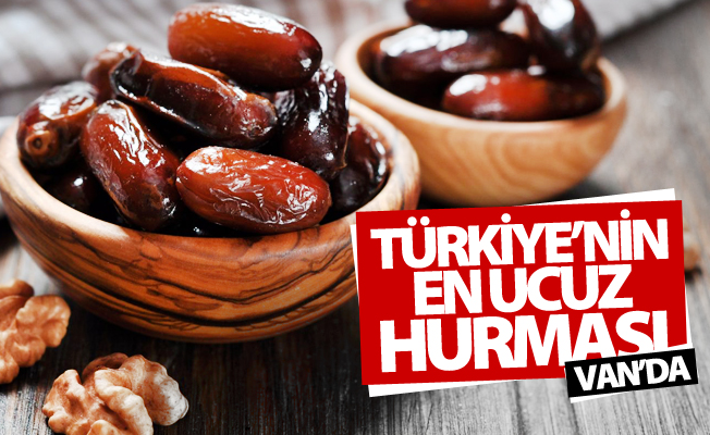 Türkiye’nin en ucuz hurması Van’da
