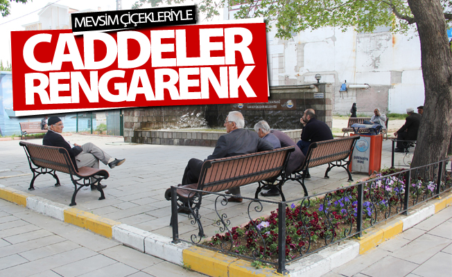 Van mevsim çiçekleriyle renklendi