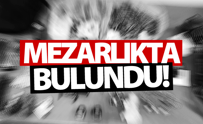 Van'da mezarlık civarında mühimmat bulundu