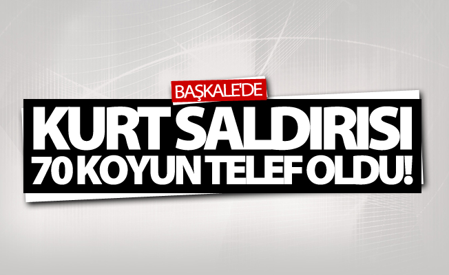 Başkale'de kurt saldırısı 70 koyun telef oldu