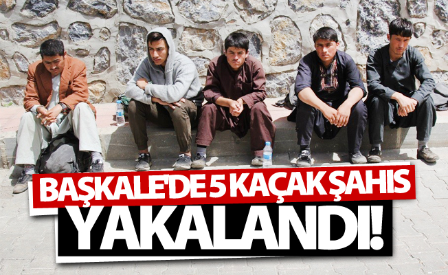 Başkale'de 5 kaçak şahıs yakalandı