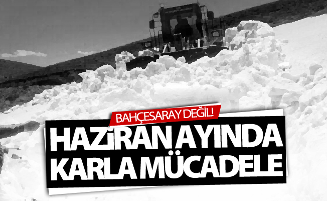 Van'da Haziran ayında karla mücadele çalışması