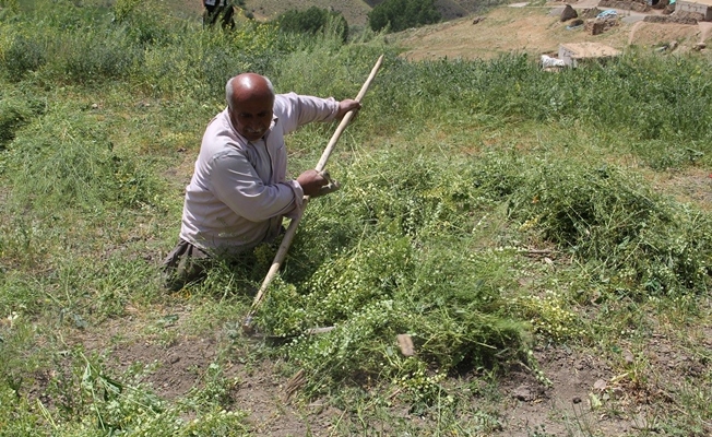 Engelli vatandaş engel tanımıyor