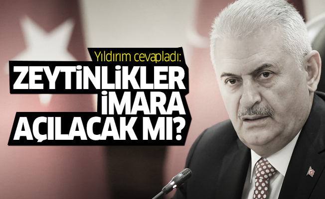 Binali Yıldırım'a soruldu: Zeytinlikler imara açılacak mı?