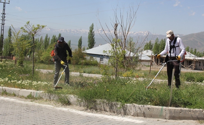 Başkale Belediyesine 3 adet motorlu ot biçme tırpanı