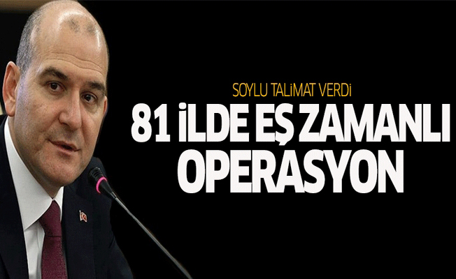 Bakan Soylu'nun talimatıyla 81 ilde eş zamanlı operasyon