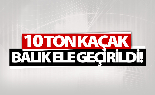 Van'da 10 ton kaçak avlanmış balık ele geçirildi