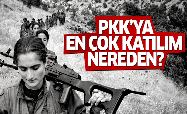 PKK'ya en çok katılım nereden? O iller açıklandı