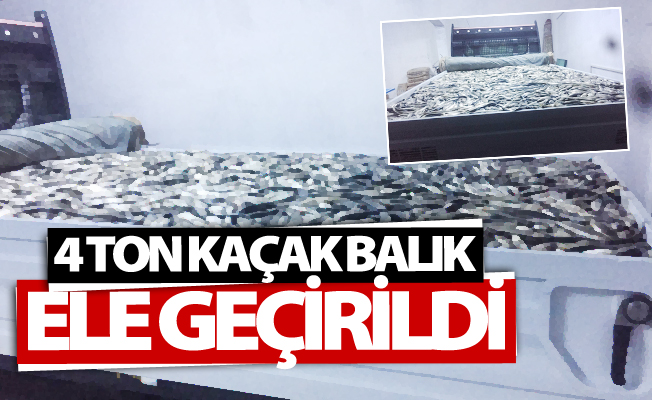 Van'da 4 ton kaçak avlanmış balık ele geçirildi