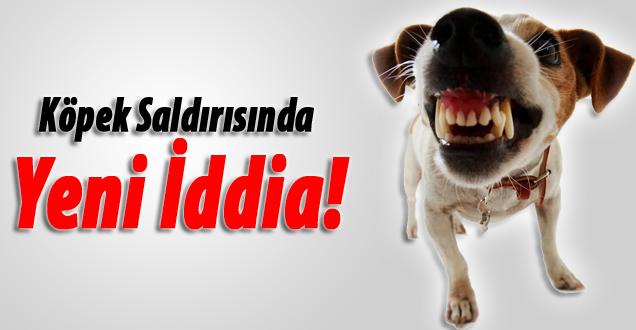 Köpek saldırısında yeni iddia!