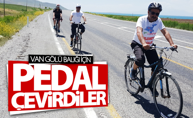 Van Gölü balığı için pedal çevirdiler