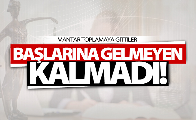 Mantar toplamaya gittiler başlarına gelmeyen kalmadı