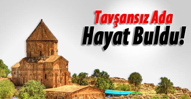 Tavşansız Ada hayat buldu!