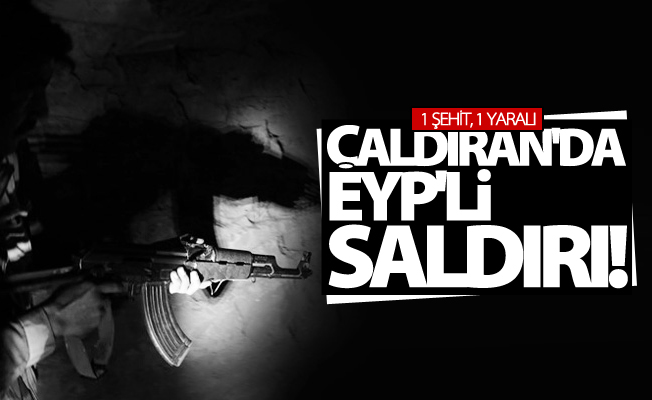 Çaldıran'da EYP'li saldırı: 1 Şehit, 1 Yaralı