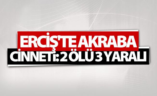 Erciş’te cinayet: 2 ölü, 3 yaralı