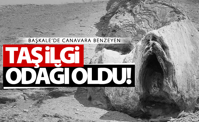 Başkale’de canavara benzeyen taş ilgi odağı oldu