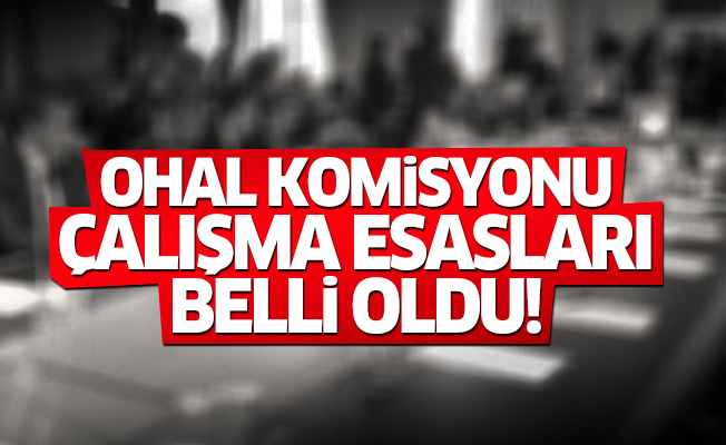 OHAL Komisyonu çalışma esasları belli oldu!