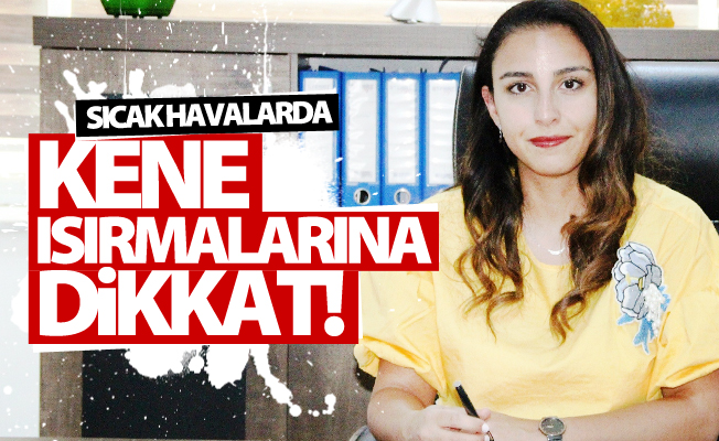 Sıcak havalarda kene ısırmalarına dikkat