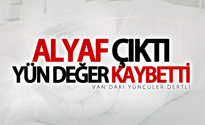 Van'da alyaf çıktı yün değer kaybetti