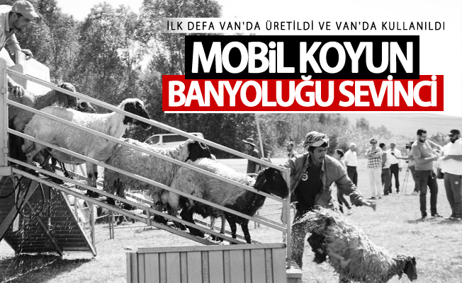 Çiftçilerin mobil koyun banyoluğu sevinci