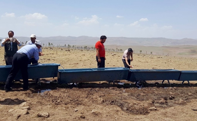 Van Büyükşehir Belediyesi yıllardır süren susuzluğa son verdi