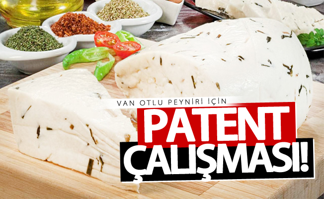 Van otlu peyniri için patent çalışması