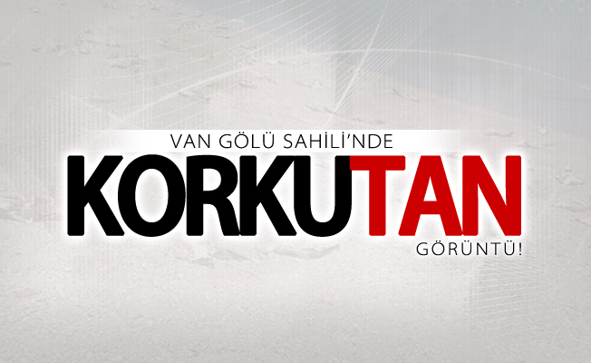 Van gölü sahili'nde korkutan görüntü!