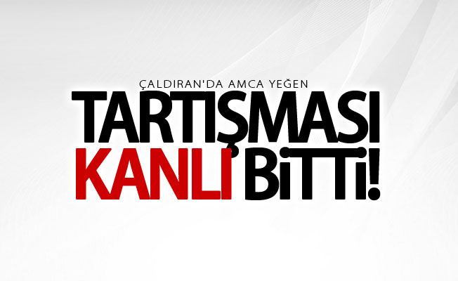 Van'da amca yeğen tartışması kanlı bitti