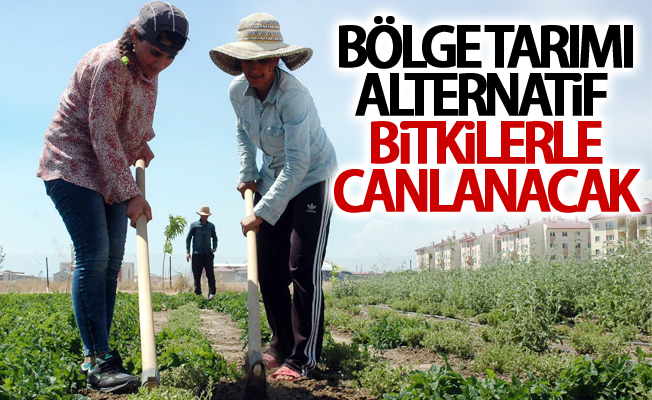 Bölge tarımı alternatif bitkilerle canlanacak