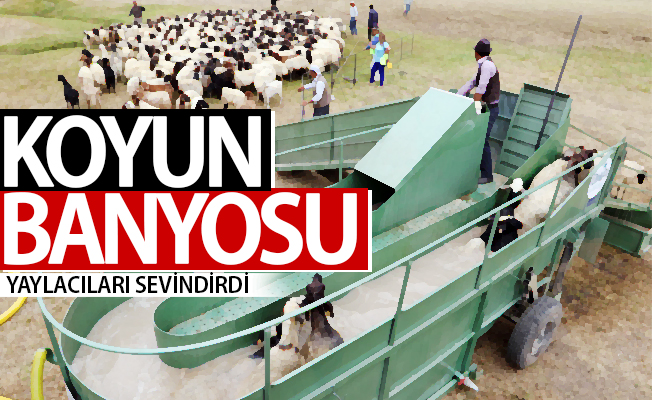 Koyun banyosu yaylacıları sevindirdi