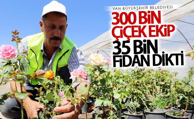 Van Büyükşehir Belediyesi 300 bin çiçek ekip, 35 bin fidan dikti