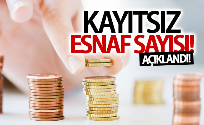 İşte Van'da kayıtsız esnaf sayısı!