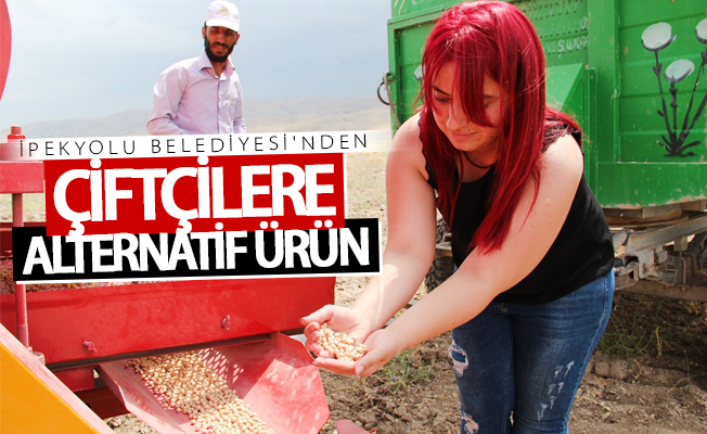 İpekyolu Belediyesinden çiftçilere alternatif ürün