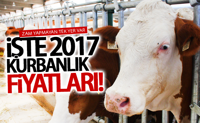 İşte kurbanlık fiyatları 2017