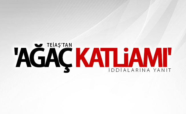 TEİAŞ'tan 'ağaç katliamı' iddialarına yanıt