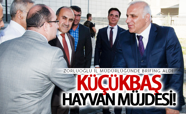 Zorluoğlu'dan küçükbaş hayvan müjdesi!