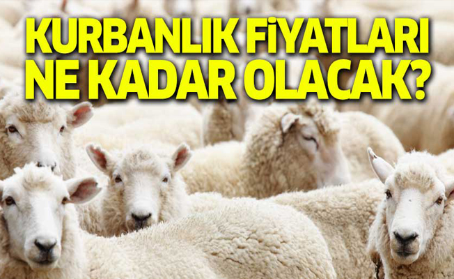 Kurbanlık fiyatları ne kadar olacak?