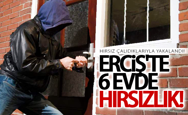 Erciş'te hırsızlık! 1 kişi gözaltına alındı