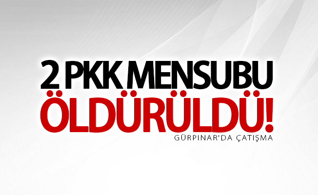 SON DAKİKA! Gürpınar'da çatışma: 2 PKK'lı öldürüldü