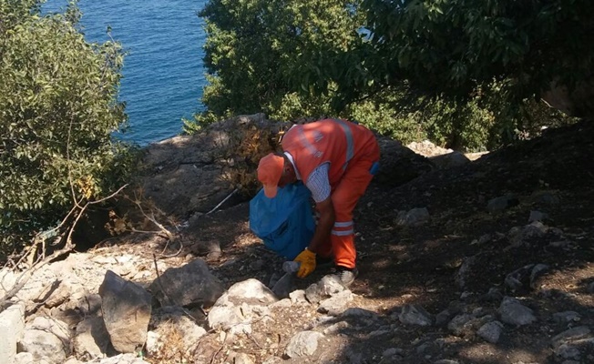 Akdamar Adası’nda çevre temizliği