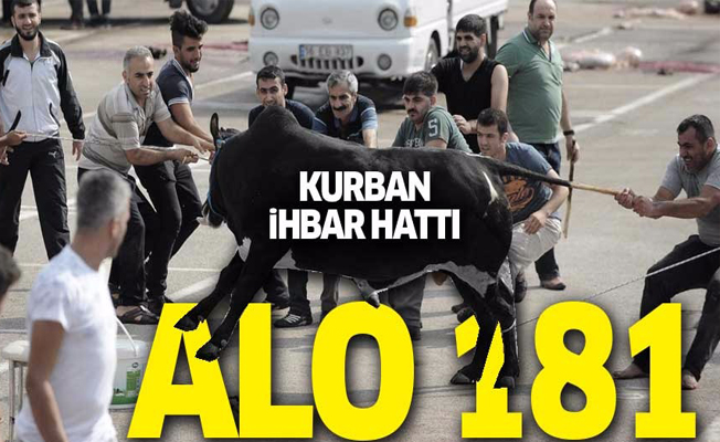 Bakanlıktan uyarı: Kapı önünde kurban keseni 'Alo 181'e bildirin