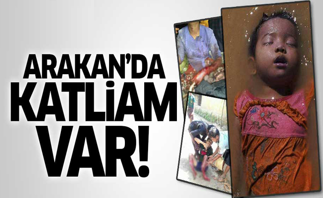 Arakan'da katliam var!