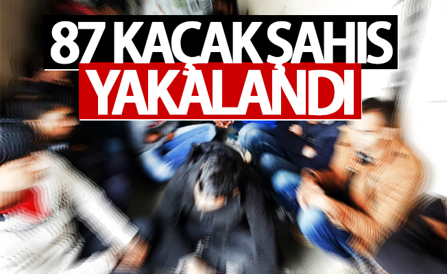 Van’da 87 kaçak şahıs yakalandı