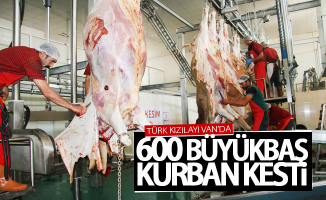 Türk Kızılayı Van’da 600 büyükbaş kurban kesti