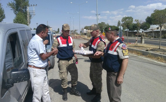 Van'da Jandarmanın denetimleri