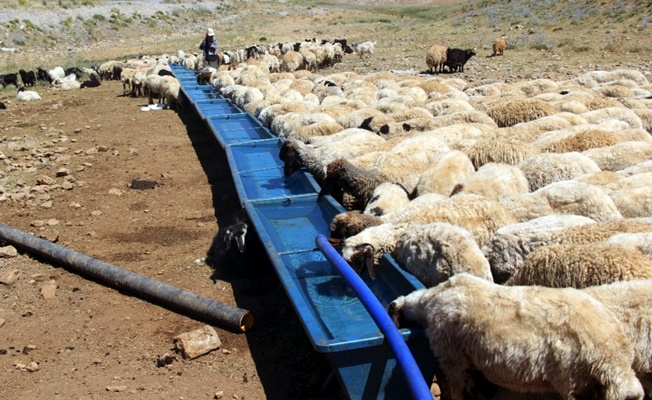 Büyükşehir Belediyesinden çiftçiye sıvat desteği