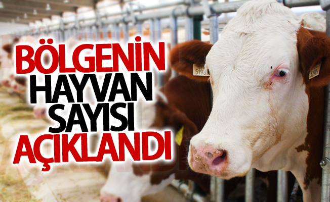 Van'daki hayvan sayısı açıklandı! İşte son veriler